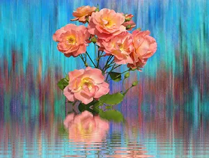 Abstract Pink Roses Reflection PNG image