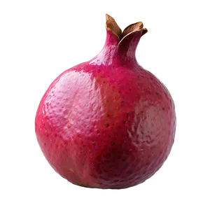 Abstract Pomegranate Design PNG 05242024 PNG