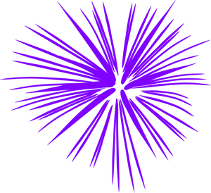 Abstract Purple Firework Burst PNG image