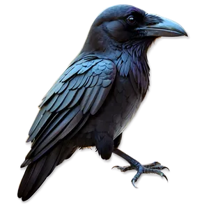 Abstract Raven PNG Eks37