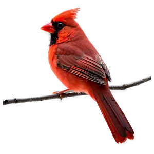 Abstract Red Cardinal PNG Qyw