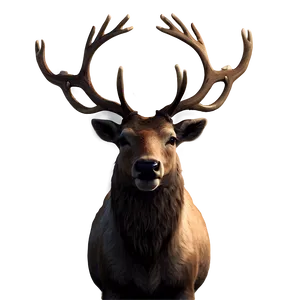 Abstract Reindeer Png Pyn96 PNG image