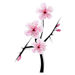 Abstract Sakura Flower PNG Gkj