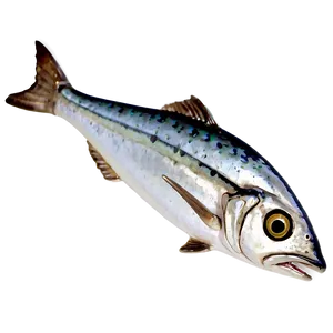 Abstract Sardine PNG 06292024 PNG