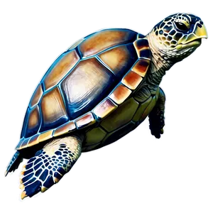 Abstract Sea Turtle Painting Png 70 PNG image