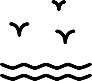 Abstract Seagulls Over Waves Line Art PNG image
