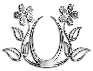 Abstract Silver Flowers Black Background