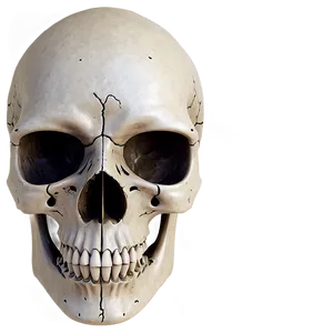 Abstract Skull Concept Png C PNG image