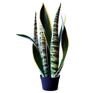 Abstract Snake Plant PNG 06122024