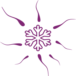 Abstract Snowflake Design PNG image