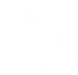 Abstract Snowflake Pattern