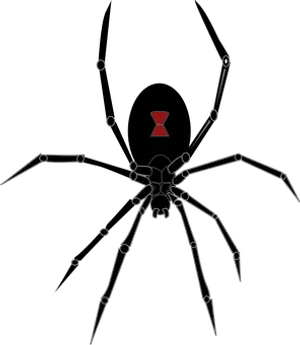 Abstract Spider Artwork PNG image