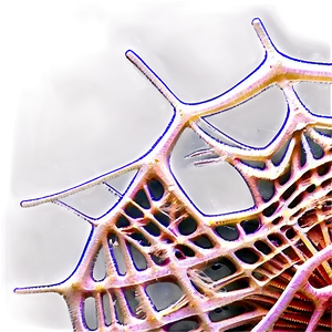 Abstract Spider Web Artwork
