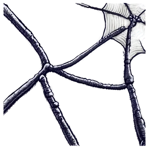 Abstract Spider Web Artwork
