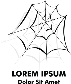 Abstract Spider Web Design