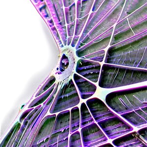 Abstract Spider Web Leaf Patterns
