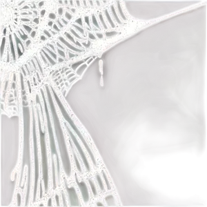Abstract Spiderweb Inversion Art