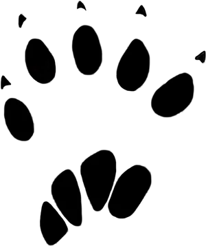 Abstract Squirrel Paw Print Pattern PNG