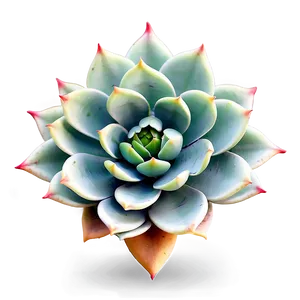 Abstract Succulent Png 05242024 PNG image