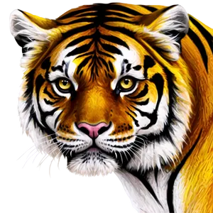 Abstract Tiger Face Drawing PNG Pqq PNG