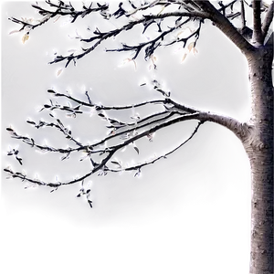 Abstract Tree Branches PNG 06282024