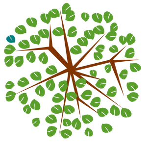 Abstract Tree Top View Illustration PNG
