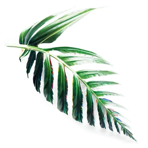 Abstract Tropical Leaf Png 15 PNG image