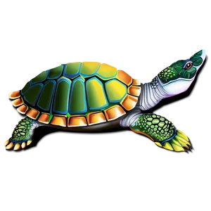 Abstract Turtle Painting Png Kch PNG image