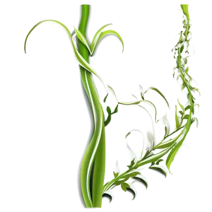 Abstract Vine Art Png Dex19 PNG image