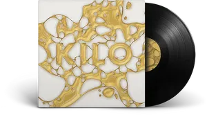 Abstract Vinyl Record Design PNG