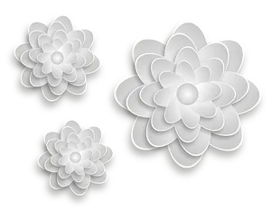 Abstract White Flowerson Black Background