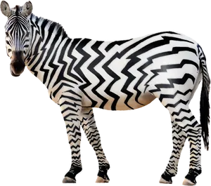 Abstract Zebra Patterns PNG image