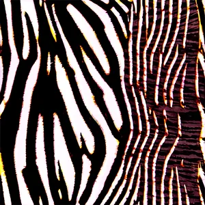 Abstract Zebra Print Design Png 06272024 PNG image