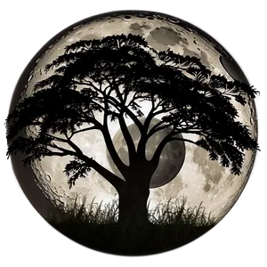 Acacia Tree Full Moon Night Png 13 PNG image