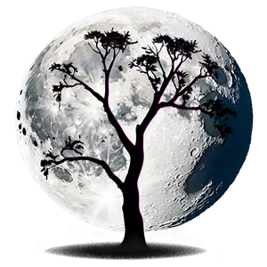 Acacia Tree Full Moon Night Png 3 PNG image