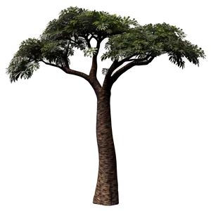 Acacia Tree In African Art PNG Bjx43 PNG