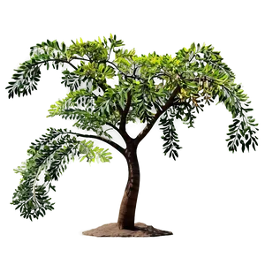 Acacia Tree In African Art PNG Fic