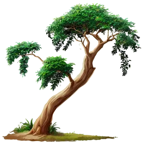 Acacia Tree In The Wind PNG 06132024