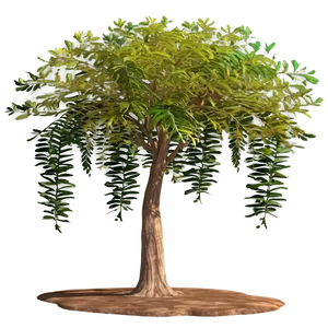 Acacia Tree Oasis Scene PNG Tpv65 PNG