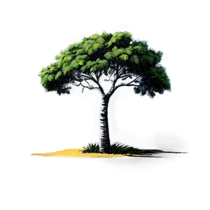 Acacia Tree Sketch PNG 24 PNG