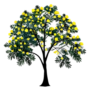 Acacia Tree Vector Art PNG 19 PNG