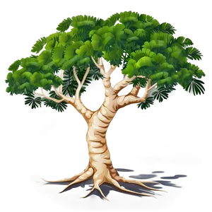 Acacia Tree Vector Art PNG 24
