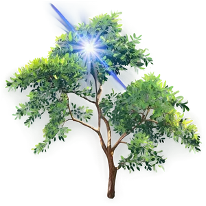 Acacia Tree With Sun Flare PNG Ber58 PNG