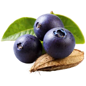 Açai A PNG