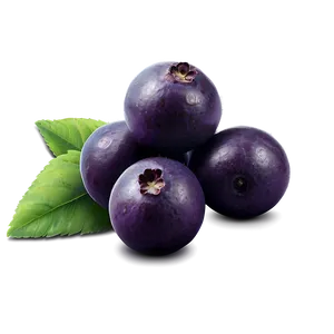Acai Berry Antioxidants PNG Gsy89 PNG