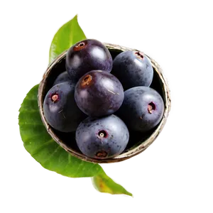 Acai Berry Antioxidants PNG Jvl1
