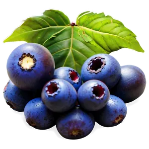 Acai Berry Farming PNG 22 PNG