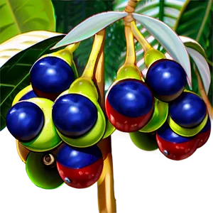 Acai Berry Farming PNG 53