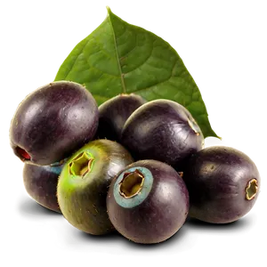 Acai Berry Farming PNG Dvd