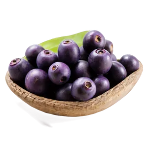 Acai Fruit Pulp PNG 06252024